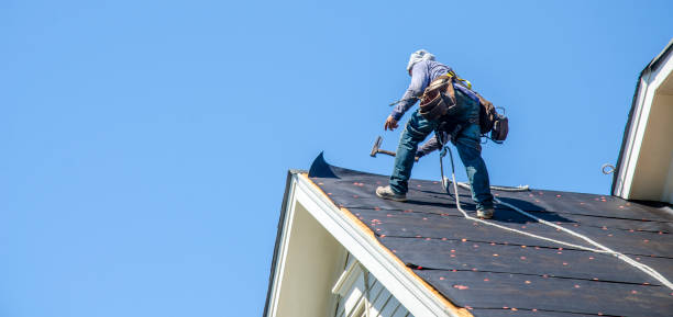 Best Shingle Roofing Installation  in Macon, MO